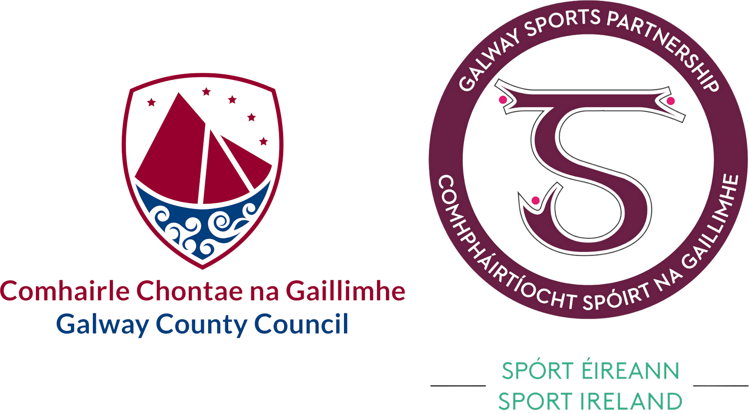 Galway County logo