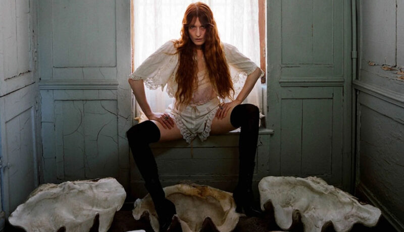 Florence and the machine