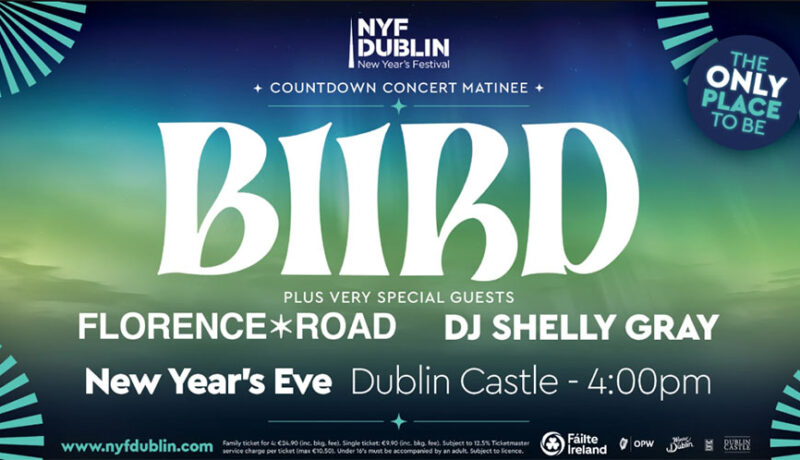 NYE Dublin castle Bird 900x498