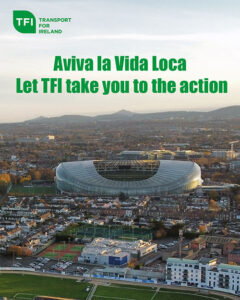 Aviva 1 la Vida Loca 500x625