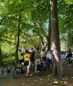 cyclists in the woods