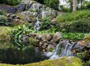 waterfall  at mount congreve gardens