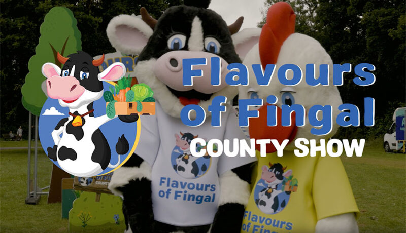 flavours of fingal - 2026 front image 2 cows in costume